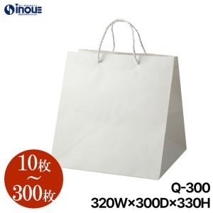 紙袋 マチ広 手提げ 白 無地 高級 ミニサイズ 小さめ 小さい ギフト 10