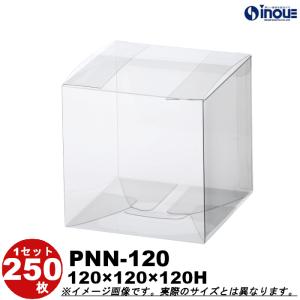 クリアケース  クリアボックス クリスタルボックス クリスタルBOX ラッピング ギフトボックス 透明 箱 立方体 正方形 250枚 PNN-120 W120×D120×H120｜inouehsigyou