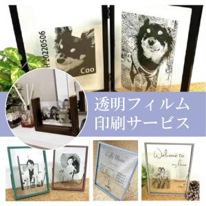 ケンマロ様おまとめ専用✦284✦ショップ様用看板製作✦A3サイズ×2枚✦日本語 建設資材の事なら 【オオチワークス】