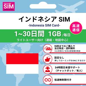 [インドネシア SIMカード] 毎日1GB デー...の商品画像