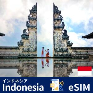 インドネシア（バリ島） | eSIMデータ通信