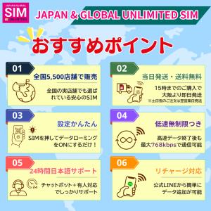 フィリピン SIMカード 毎日1GB データ通...の詳細画像1
