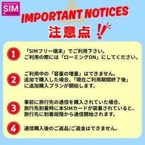 フィリピン SIMカード 毎日1GB データ通...の詳細画像5