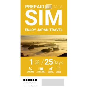 【国内専用プリペイドSIMカード】1GB25DAYS / SoftBankメイン回線利用！｜inplus