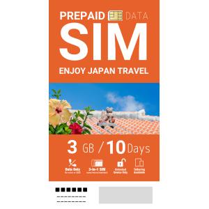 【国内専用プリペイドSIMカード】3GB10DAYS / SoftBankメイン回線利用！｜inplus