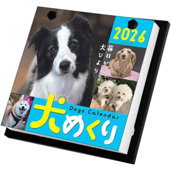 カレンダー 犬 2026 犬めくり 卓上