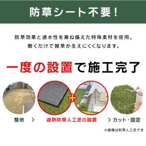 人工芝 芝生 リアル人工芝 ロール アイリスオ...の詳細画像5