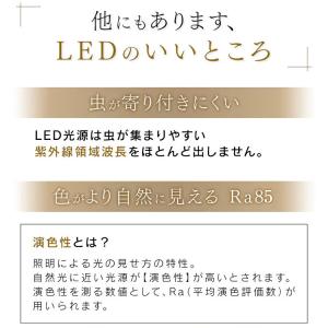 ペンダントライト led 8畳 和風 照明 お...の詳細画像5