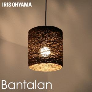 IRIS OHYAMA（アイリスオーヤマ） 丸形LEDランプ 40形 調光7段階