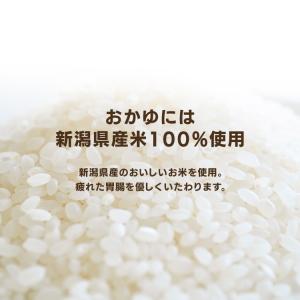 パウチ非常食7種200g 250g 災対食 パ...の詳細画像4