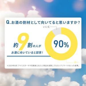 炭酸水 24本 450ml 強炭酸水 強炭酸 ...の詳細画像4