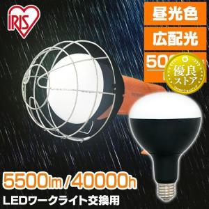 LED電球 投光器 作業灯 防水 屋外 e39 5500ml ワークライト 交換電球 LED 照明 防災用 作業場 非常時 非常灯 災害 アイリスオーヤマ  LDR45D-H-E39