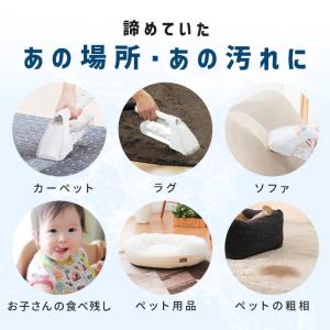 リンサークリーナー アイリスオーヤマ クリーナ...の詳細画像2