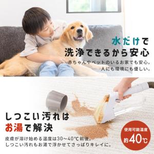 リンサークリーナー アイリスオーヤマ クリーナ...の詳細画像3