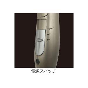 ドライヤー 海外対応 冷温風 マルチボルテージ...の詳細画像2