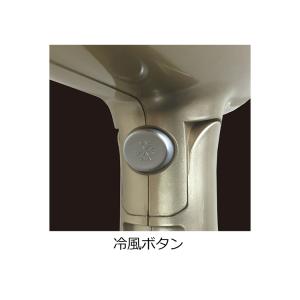 ドライヤー 海外対応 冷温風 マルチボルテージ...の詳細画像3