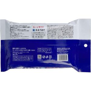 汗拭きシート ボディシート ボディーシート 冷...の詳細画像4