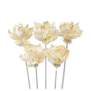 ソラフラワー ステムタイプ4 ナチュラル(1束/5本) Z-0357 GARDENIA 57r600...