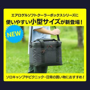 クーラーボックス 小型 15L 保冷ボックス ...の詳細画像2