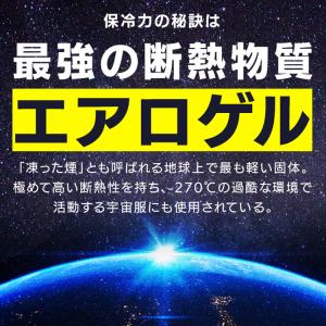 クーラーボックス 小型 15L 保冷ボックス ...の詳細画像3