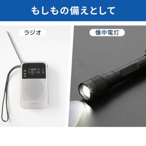 乾電池 単3 単三電池 アルカリ 電池 100...の詳細画像2