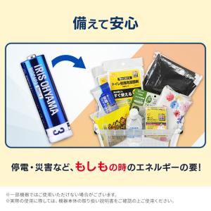 乾電池 単3 単三電池 アルカリ 電池 100...の詳細画像3