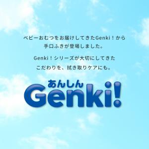 手口拭き 2400枚 (80枚入×30個) 大...の詳細画像1