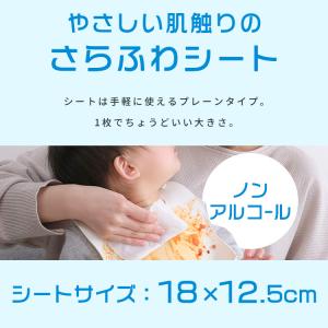 手口拭き 2400枚 (80枚入×30個) 大...の詳細画像3