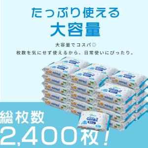 手口拭き 2400枚 (80枚入×30個) 大...の詳細画像4