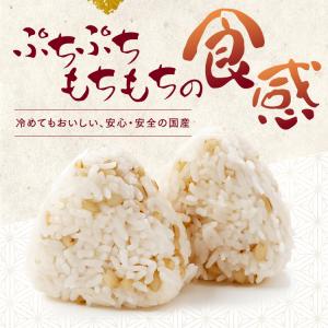 もち麦 国産 2kg 3袋 チャック付 国産も...の詳細画像3