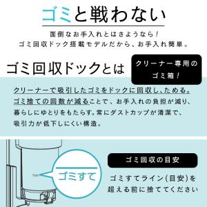 掃除機 コードレス 軽量 アイリスオーヤマ ゴ...の詳細画像4