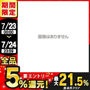 空気清浄機 フィルター 交換フィルター 活性炭フィルター 活性炭 ペット IA-300PF アイリスオーヤマ IA-300 IA-300N IA-400