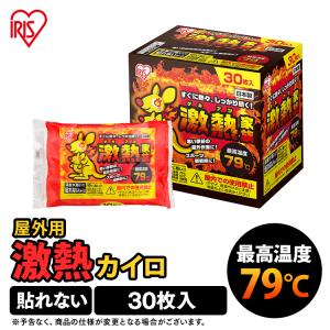 カイロ 貼らない 貼らないカイロ 使い捨てカイロ 30個入り 防寒 冬 アイリスオーヤマ 寒さ対策 あったか グッズ ぽかぽか家族 屋外専用｜insdenki-y