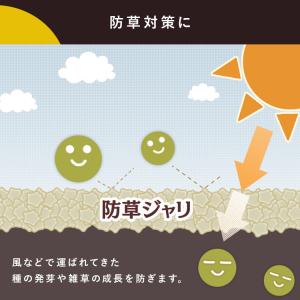 砂利 庭 防犯砂利 20L 音が鳴る 防犯対策...の詳細画像5