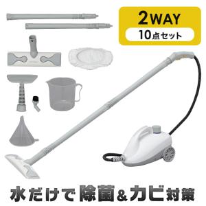 スチームクリーナー アイリスオーヤマ 高温スチーム 除菌 フィルター掃除 キャニスター ボイラー式 油汚れ ソファ シワ伸ばし STM-410E 白：予約品