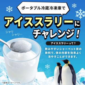 車載冷蔵庫 ポータブル冷蔵庫 20L 車載 小...の詳細画像2