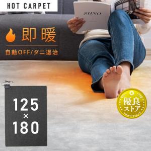 ホットカーペット 1.5畳 本体 TEKNOS  125×180cm おしゃれ 節電 ダニ退治 折り畳み 温度調節 電気カーペット 電気マット 1.5畳用 テクノス