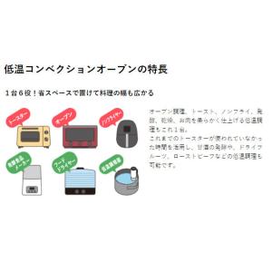 オーブン オーブントースター フライヤー 1台6役 レシピ付き コンベクション コンベクションオーブン おしゃれ テスコム TSF601 (D) 一人暮らし 新生活 家電