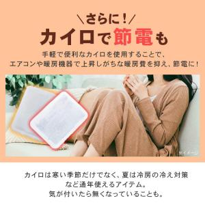 カイロ 貼る 貼るカイロ ミニ 240枚 大容...の詳細画像4