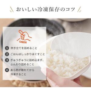 マーナ 冷凍ご飯容器 6個 保存容器 冷凍 冷...の詳細画像4