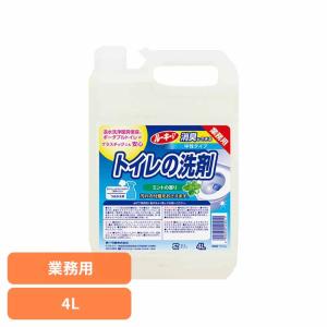 ルーキーV トイレの洗剤 第一石鹸
