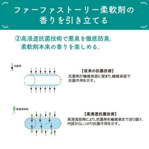 FAストーリー 洗剤あわあわウォッシュ 450...の詳細画像4