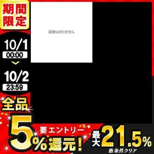 ラミネートフィルム a3 A3 100μ 100枚 A3サイズ 100ミクロン