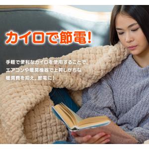 カイロ 貼る 貼るカイロ レギュラー 480枚...の詳細画像4