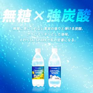 炭酸水 500ml 48本 (24本入×2箱)...の詳細画像2