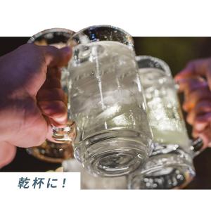 炭酸水 500ml 48本 (24本入×2箱)...の詳細画像3