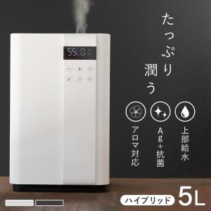 加湿器 スチーム式 超音波式 ハイブリッド式 おしゃれ 小型 アロマ 大容量 上から給水 省エネ 節電 5L Hanx-Home HA-H08W (D)