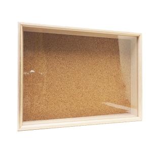 志賀 インロー硝子蓋式標本箱 [特大型コルク敷]