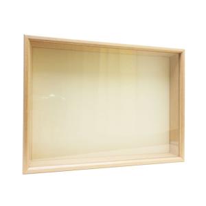 志賀 インロー硝子蓋式標本箱 [特大型ポリフォーム敷]