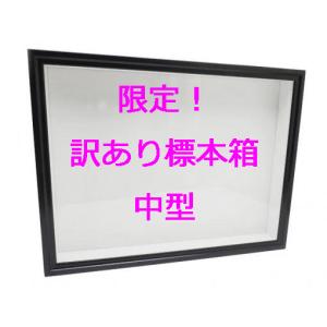 中型ドイツ型標本箱※説明文を読んで了承しました